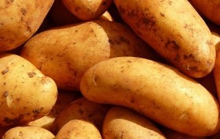 Kartoffeln aus eigenem Anbau_ Hofladen Haap_ Kernen